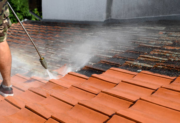 Best Residential Pressure Washing Services  in Little Elm, TX