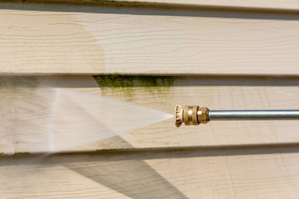 Best Roof Pressure Washing  in Little Elm, TX